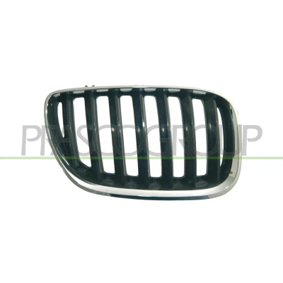 Afbeelding van PRASCO BM8202023 Grille Auto Rechts voor Chroom/zwart