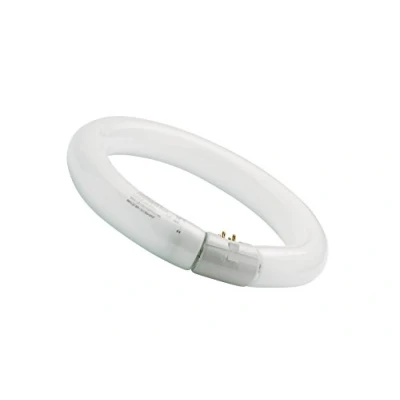 Image de Sylvania Tl circline fc32w/840 coolwhite 01964