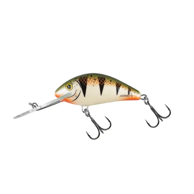 Image de Salmo Hornet Flottant 6cm 10g (profondeur 2 5.6m) Soort : Nordic Perch