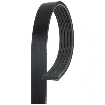Image de Courroie trapézoïdale à nervures gates 5pk948
