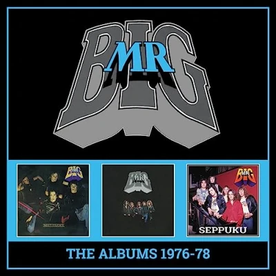 Afbeelding van The Albums 1976 78