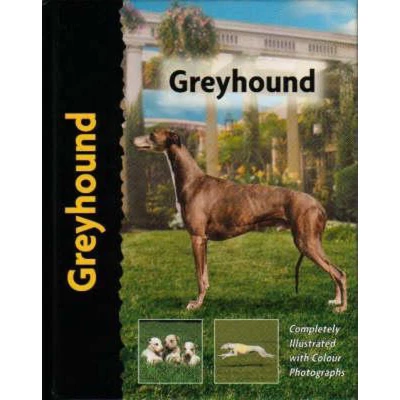 Afbeelding van Greyhound