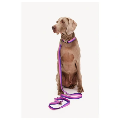 Afbeelding van Dogguo Gradient Leash Hondenriem 23 cm Paars Roze Voor Kleine Honden S