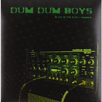 Afbeelding van Dum Boys Alive In The Echo Chamber (LP)
