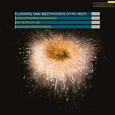 Afbeelding van Terpsycordes Quartet Con Intimissimo Sentimento (CD)