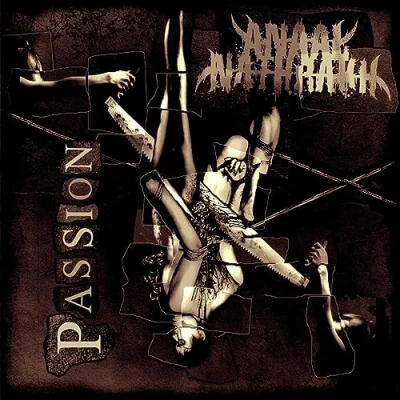 Afbeelding van Anaal Nathrakh Passion (LP)