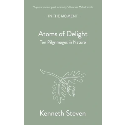 Afbeelding van In the Moment Atoms of Delight