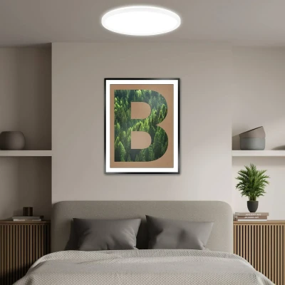 Afbeelding van Briloner Tava A LED Plafondlamp 7548016 EEK 50.000h licht Indirect Vlak Neutraal Wit Ø42 x 3 cm