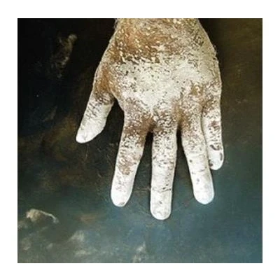 Afbeelding van Wrekmeister Harmonies Night Of Your Ascension (CD)