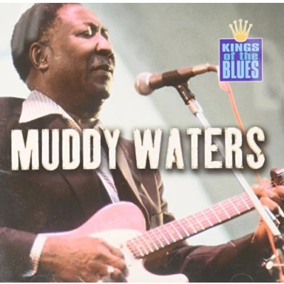 Afbeelding van A Tribute To Muddy Waters, King Of The Blues