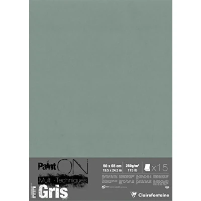 Afbeelding van Clairefontaine Paint’ON Grijze 50x65cm Sheets