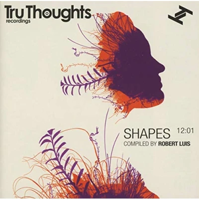 Afbeelding van Shapes 12 01