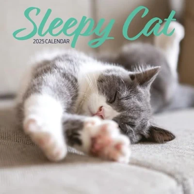 Afbeelding van Sleepy Cat Kalender 2025