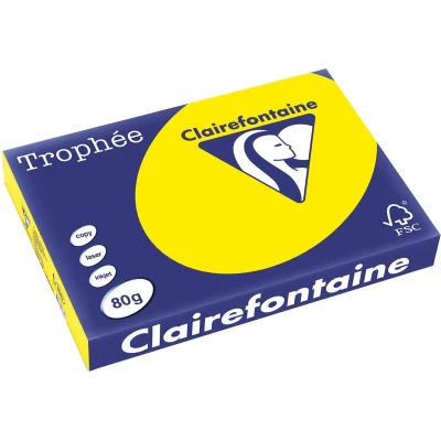 Afbeelding van Clairefontaine Trophée Intens, Gekleurd Papier, A3, 80 G, 500 Vel, Zonnegeel Papier