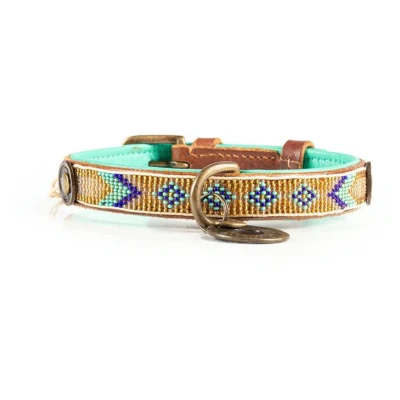 Afbeelding van Dwam Halsband Indi Moon Goud&amp;Turquoise Hondenhalsband 23 26x2 cm