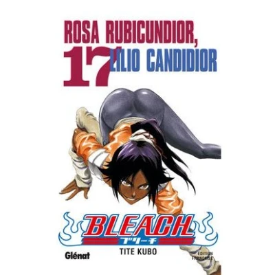 Image de Bleach Tome 17