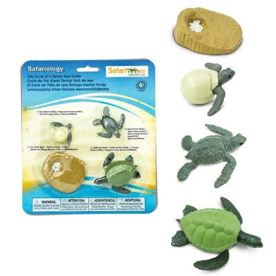 Afbeelding van Safari Ltd. Speelfiguren levenscirkel Schildpad