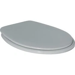 Afbeelding van Ideal Standard Contour 21 toiletzitting met deksel doorlopende