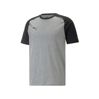 Afbeelding van Puma TEAM CUP Voetbalshirt, Heren, Maat: XL, Grau