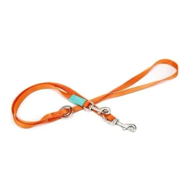 Afbeelding van Beeztees Uni Hondenriem Oranje 200 cm x 20 mm