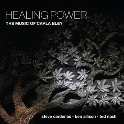 Afbeelding van Steve Cardenas, Ben Allison &amp; Ted Nash Healing Power: The Music Of Carla Bley (CD)