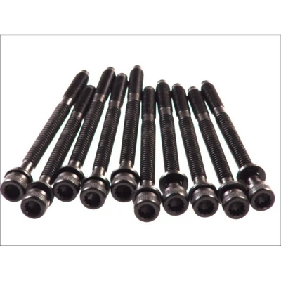 Afbeelding van ELRING 057.440 Cilinderkopbouten Binnen veeltandig AUDI: 80 B4 Avant, Coupe B3, A6 C4 VOLKSWAGEN: GOLF 3, Passat B3/B4 Saloon