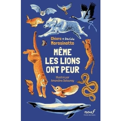 Afbeelding van MEME LES LIONS ONT PEUR