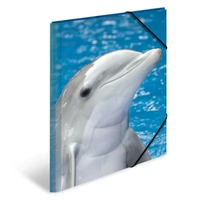 Afbeelding van HERMA binder A3 Delfin Polypropylen