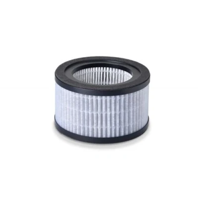 Image de Beurer LR 220 Filtre de rechange
