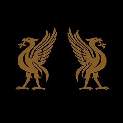 Afbeelding van Joey Cape &amp; Jon Snodgrass Liverbirds (CD)