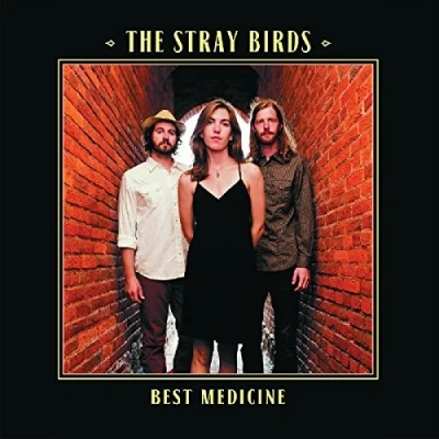 Afbeelding van Stray Birds Best Medicine