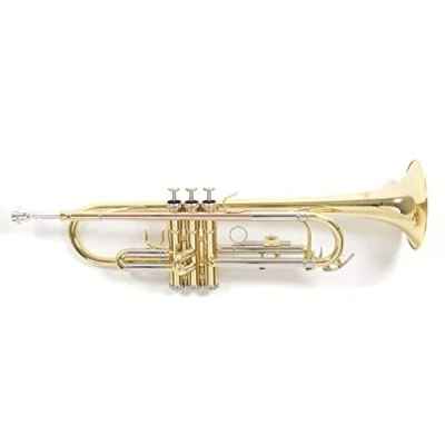 Image de Roy Benson Student Pro Series Trompette en Sib TR 202