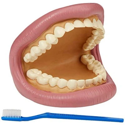 Afbeelding van TickiT Giant Teeth Dental Kit