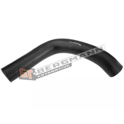 Afbeelding van GATES 09 0549 Laadluchtslang PE (Polyethyleen) LAND ROVER: Freelander I Off Road Convertible,