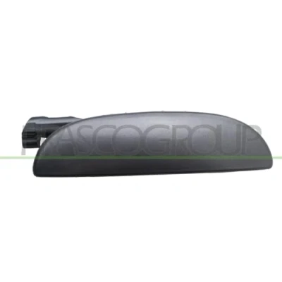 Afbeelding van PRASCO FT1138204 Deurgrepen Buiten, Links achter, voor Met grondlaag