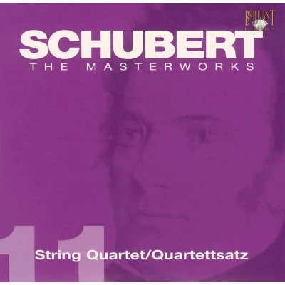Afbeelding van Franz Schubert String Quartet in G Major / Quartettsatz