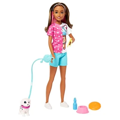 Afbeelding van Barbie HKD77 Skipper pop en hondenspeelset met puppy 5 accessoires, speelgoedpop vanaf 3 jaar