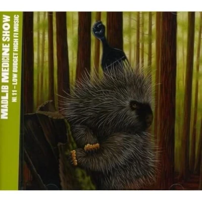 Afbeelding van Madlib Medicine Show #11: Low Budget High Fi Music