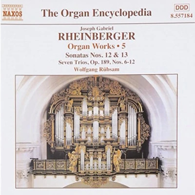 Afbeelding van Wolfgang Rübsam Organ Works 5 (CD)