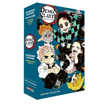 Image de Coffret Demon Slayer T22/Roman N03