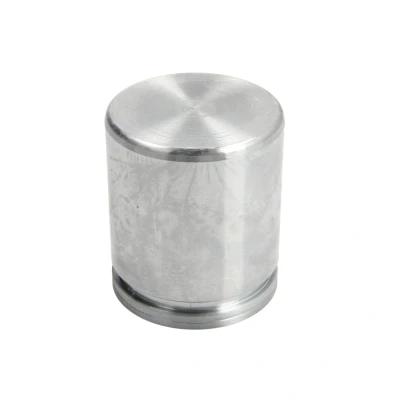 Afbeelding van AUTOFREN SEINSA D025502 Zuiger, remklauw 48 Vooras BREMBO