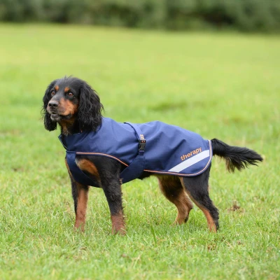 Image de Bucas Recuptex Dog Rug Navy/Orange 50cm