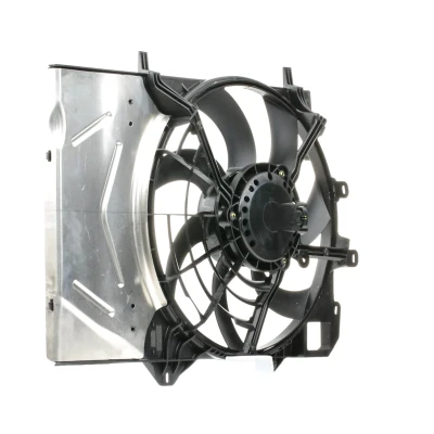 Afbeelding van Valeo Ventilatormotor /wiel motorkoeling 696584