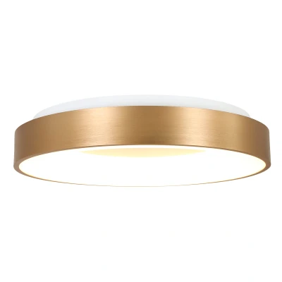 Afbeelding van Plafondlamp RInglede 2563GO Goud Ø48cm