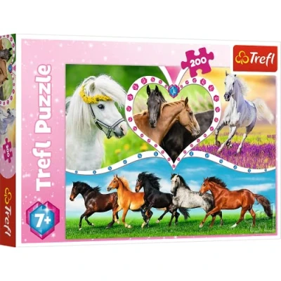 Afbeelding van Puzzel Beautiful horses 5900511132489