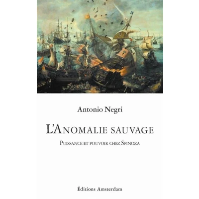 Image de L&#039; Anomalie sauvage