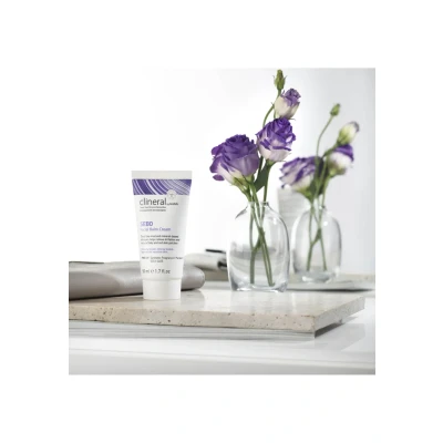 Afbeelding van Ahava Clineral Sebo Facial Balm Cream