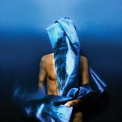Afbeelding van Devendra Banhart Flying Wig (LP)