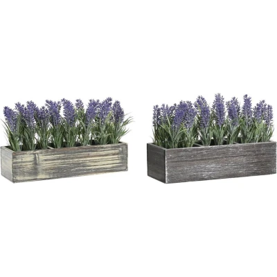 Afbeelding van Decoratieve plant DKD Home Decor Hout Polyethyleen 32 x 14 19,5 cm (2 Stuks)