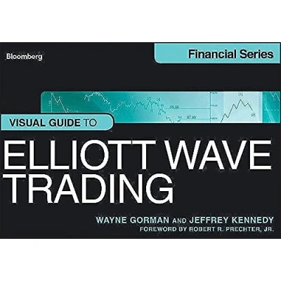 Afbeelding van Bloomberg Visual Gde Elliott Wave Analys